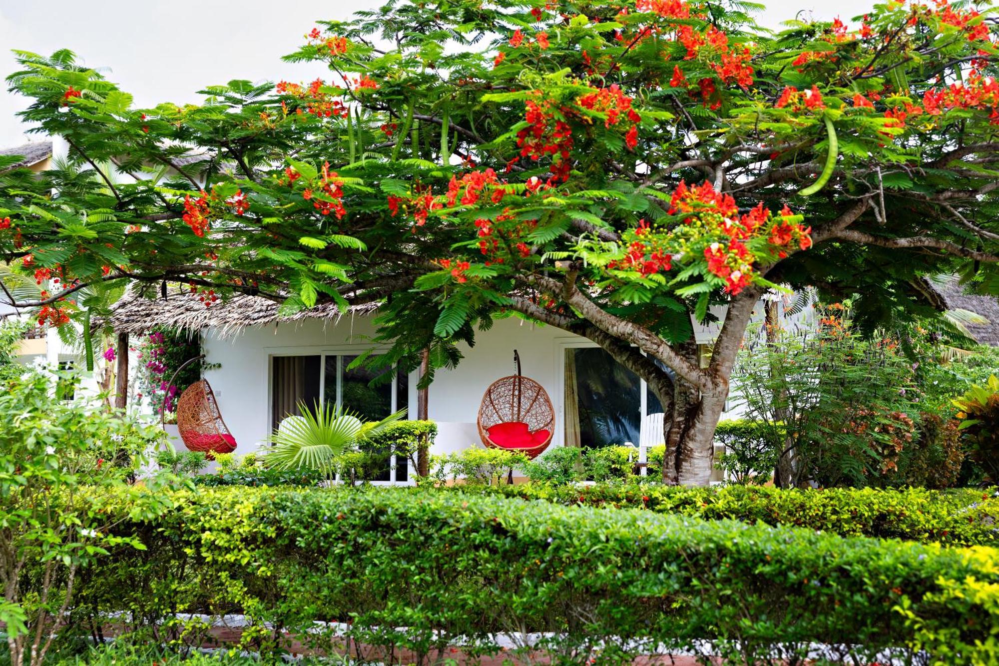 Tanzanite Beach Resort Nungwi Kültér fotó